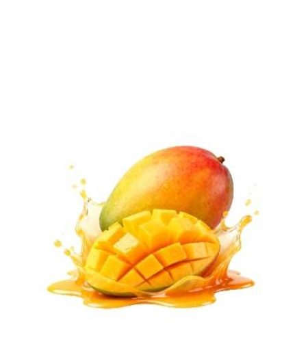ekstrak mangga